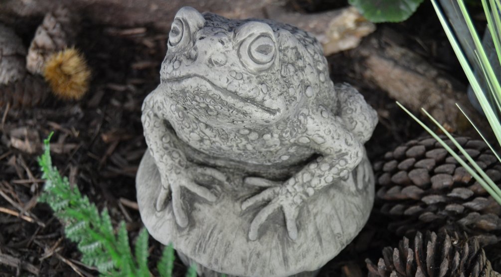 Ardie the Toad Garden Ornament 11 crop.jpg